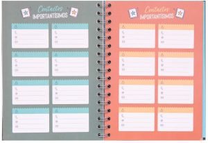 mr. wonderful agenda