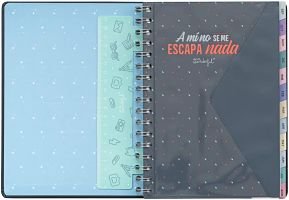 agenda mr wonder