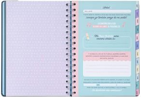 agenda mister wonderful